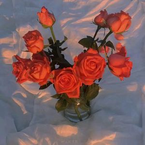 第四色播新网站
