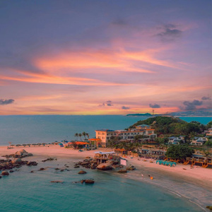 第四色播新网站
